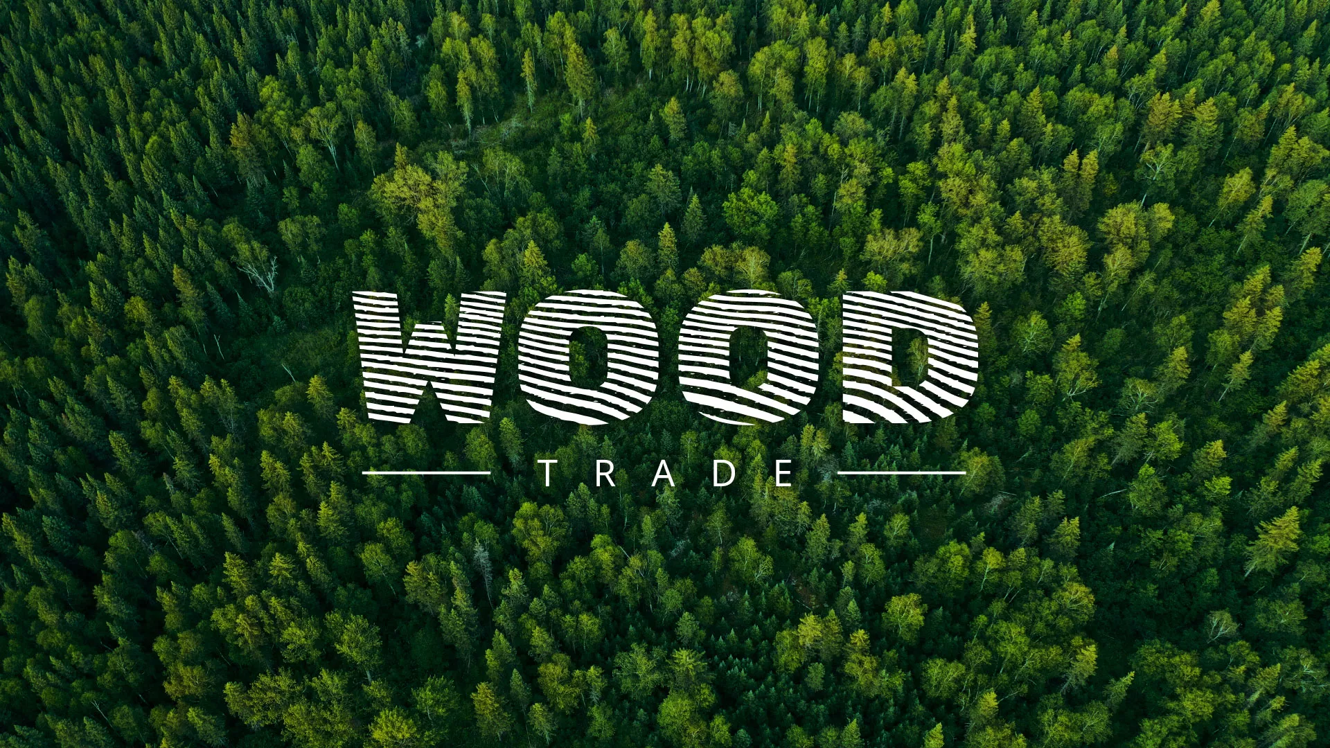Разработка интернет-магазина компании «Wood Trade» в Алагире
